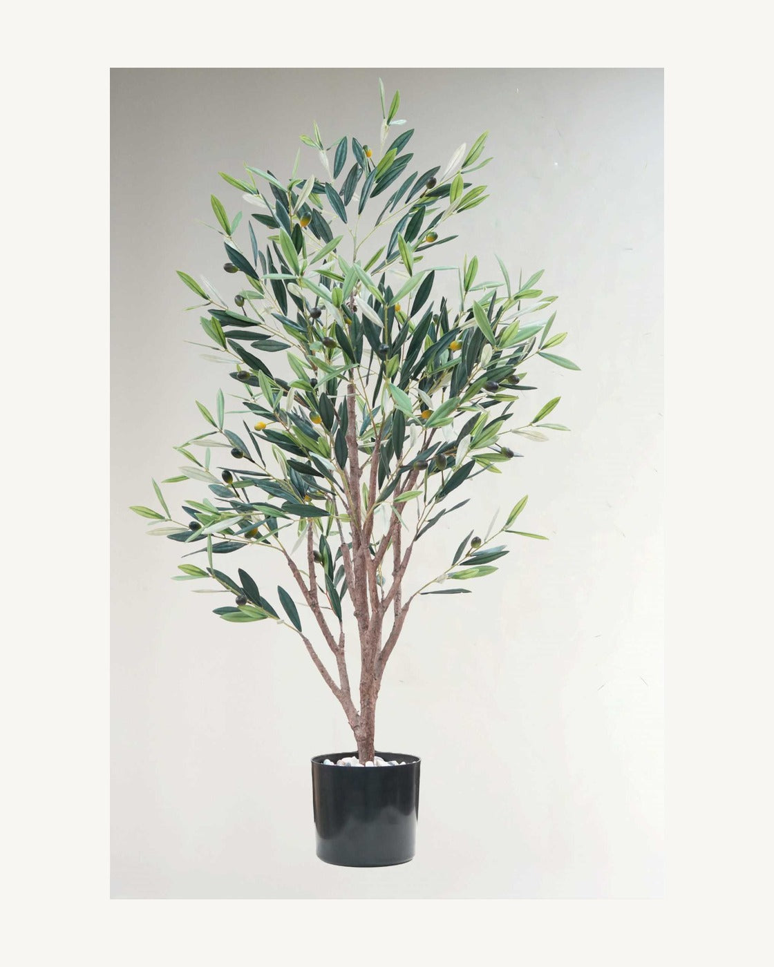 Lucca Artificial Olive Tree, full product studio view in the included nursery pot