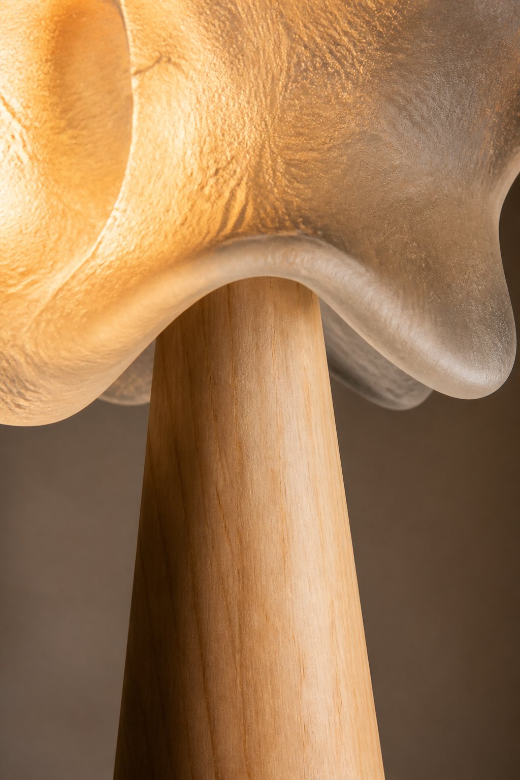 Maison Moya - Lune Suspendue Sculpted Disc Floor Lamp - closeup detail