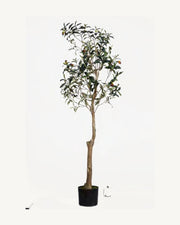 Madeira Artificial Olive Tree, 59 in, full product studio view in the included nursery pot