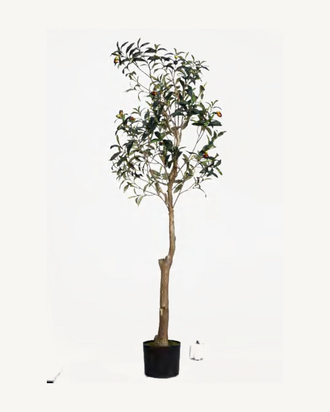 Madeira Artificial Olive Tree, 59 in, full product studio view in the included nursery pot