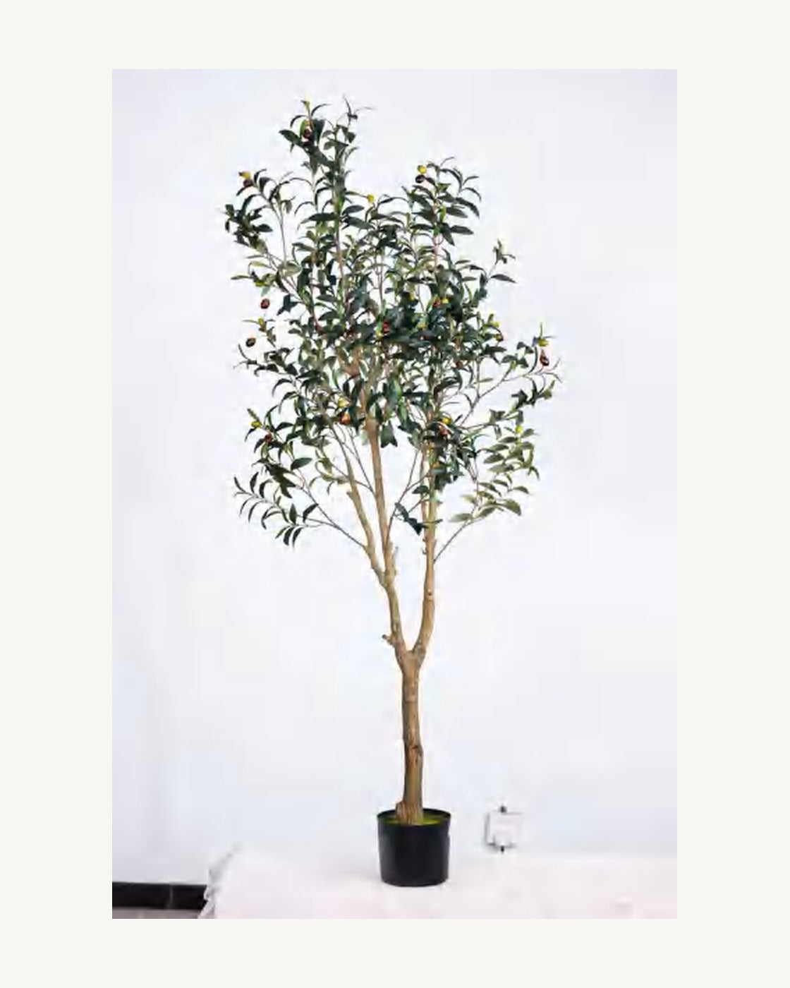Madeira Artificial Olive Tree, 70.9 in, full product studio view in the included nursery pot