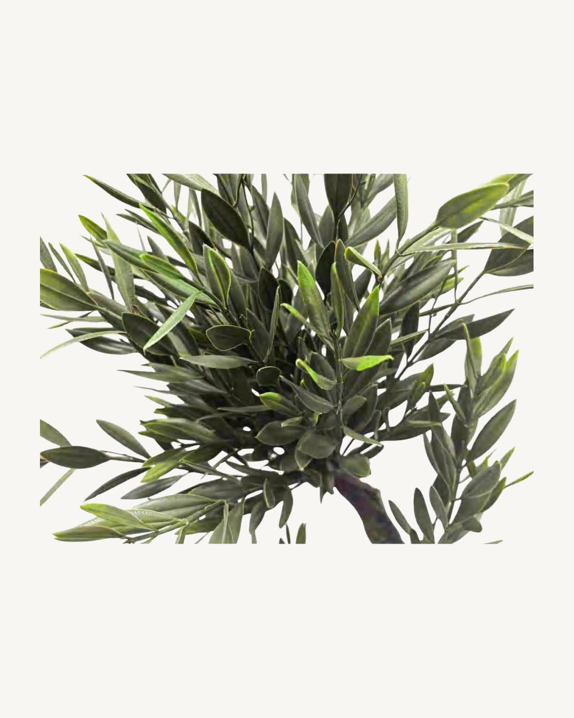Marbella Artificial Olive Tree, full product studio view in the included nursery pot