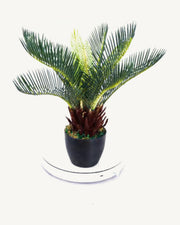 Maremma Artificial Sago Palm, 13.7 in, full product studio view in the included nursery pot