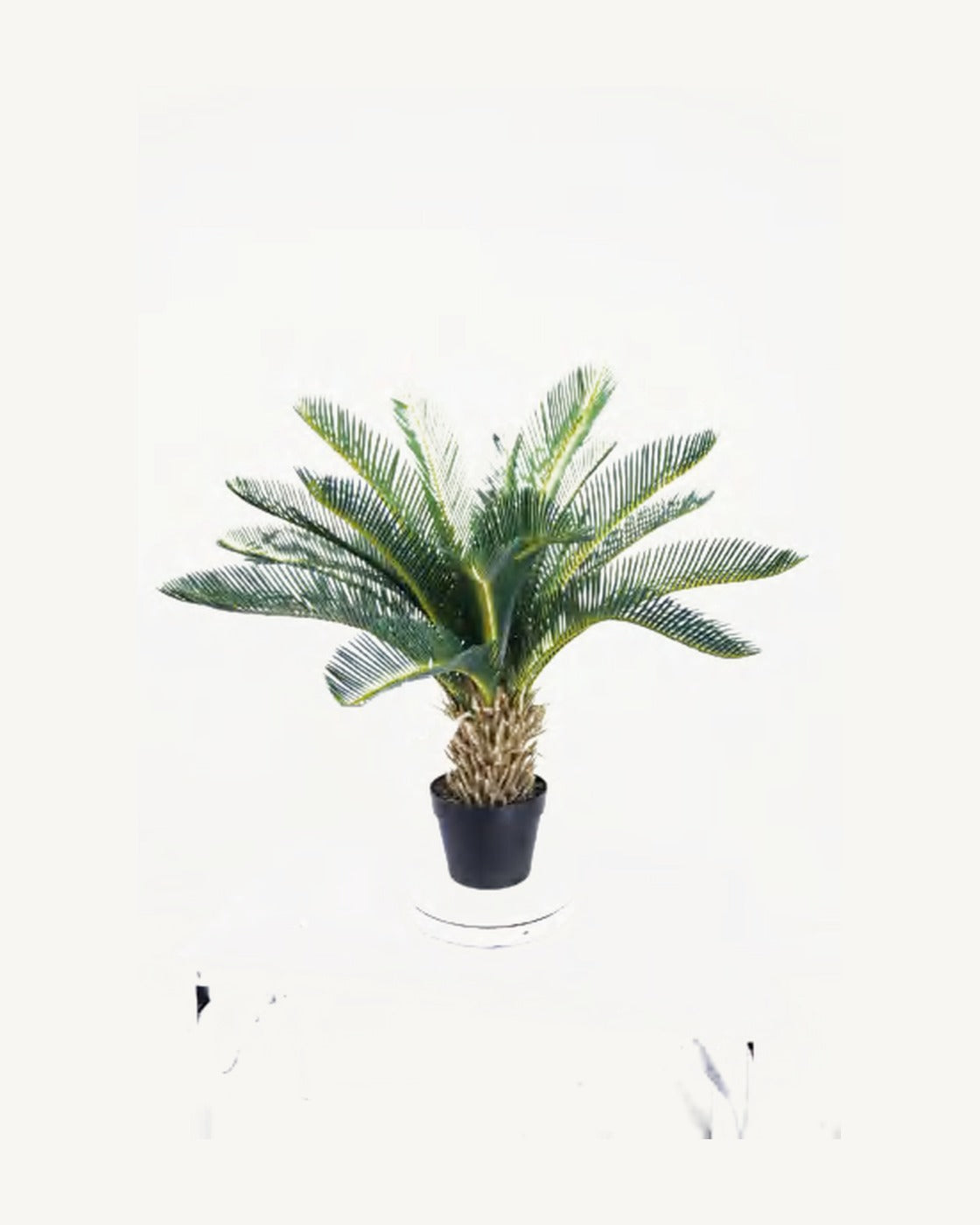 Maremma Artificial Sago Palm, 29.9 in, full product studio view in the included nursery pot