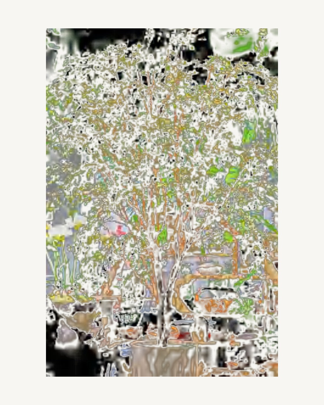 Matera Artificial Banyan Tree, full product studio view in the included nursery pot