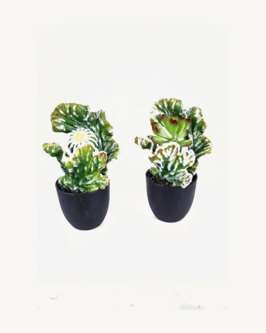 Matera Artificial Coral Cactus, 13.3 in