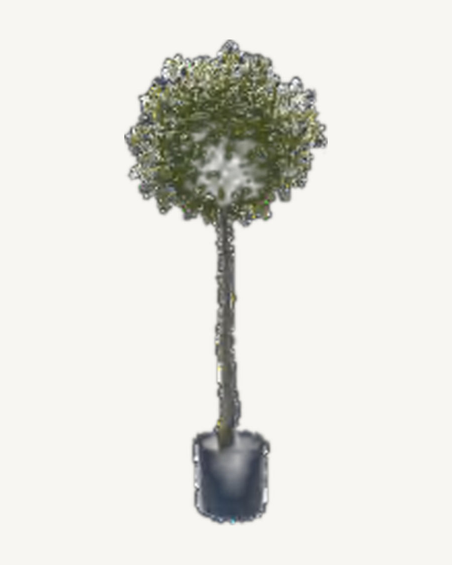Matera Artificial Olive Tree, 48 in