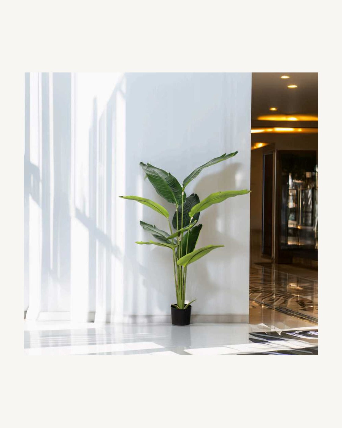 Matera Artificial Traveler's Palm, full product studio view in the included nursery pot