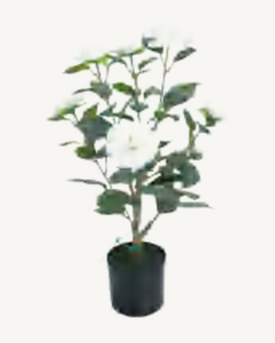 Mentone Artificial Blossom Tree