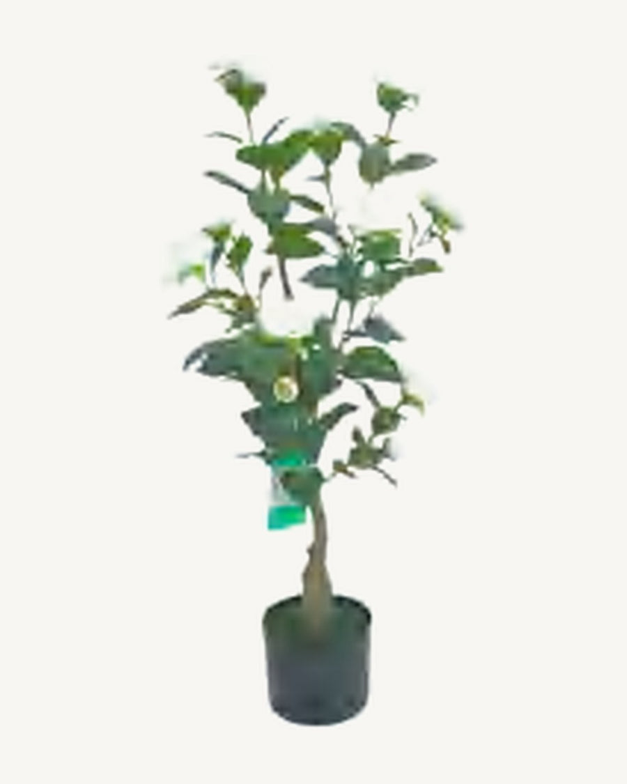 Mentone Artificial Blossom Tree