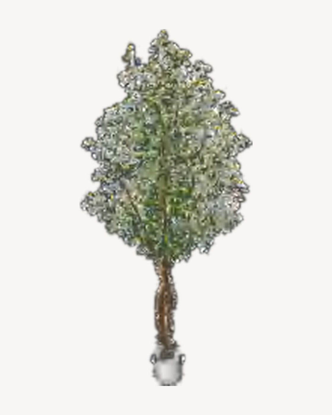 Mentone Artificial Olive Tree, full product studio view in the included nursery pot