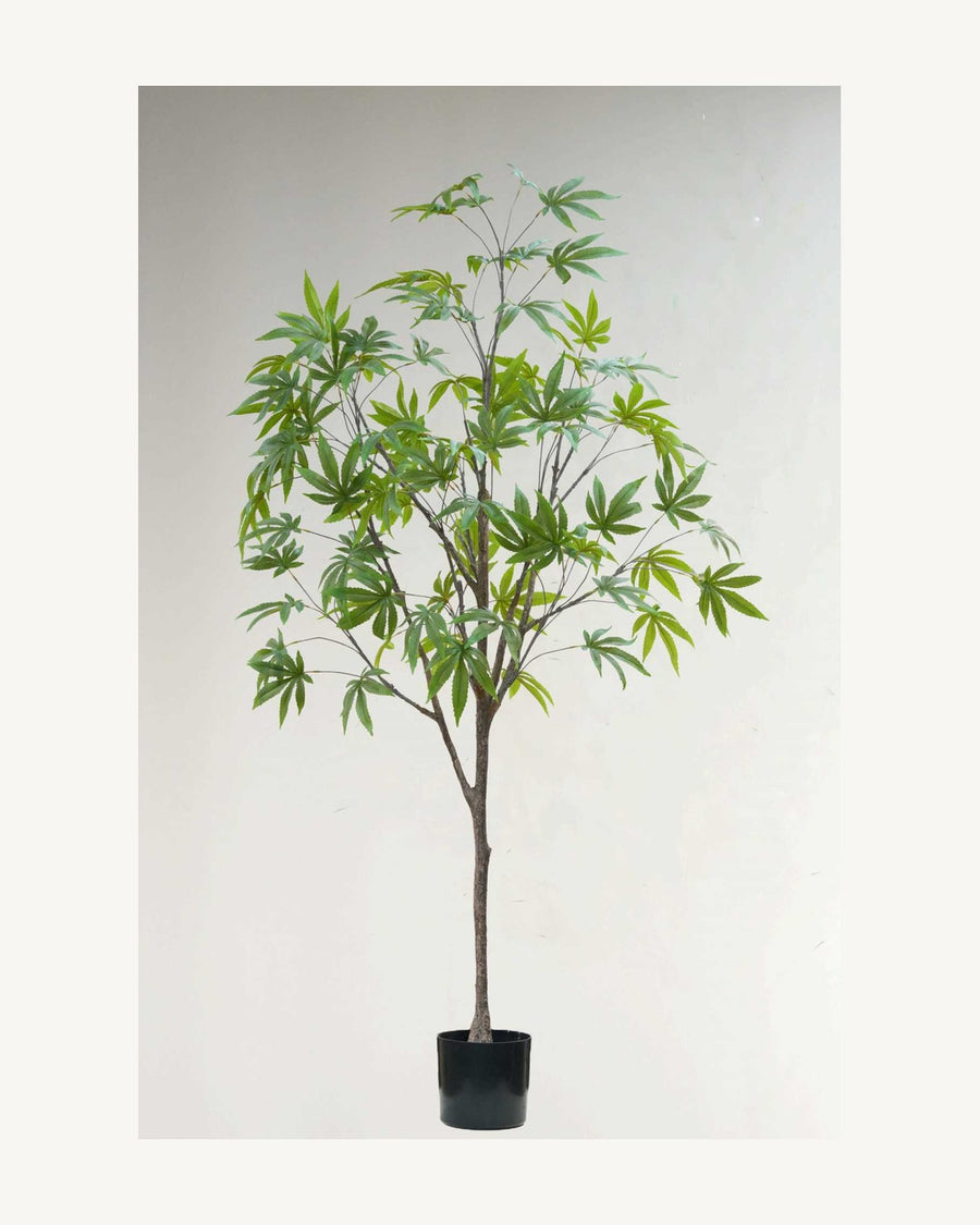 Modena Artificial Maple Tree, 66.9 in