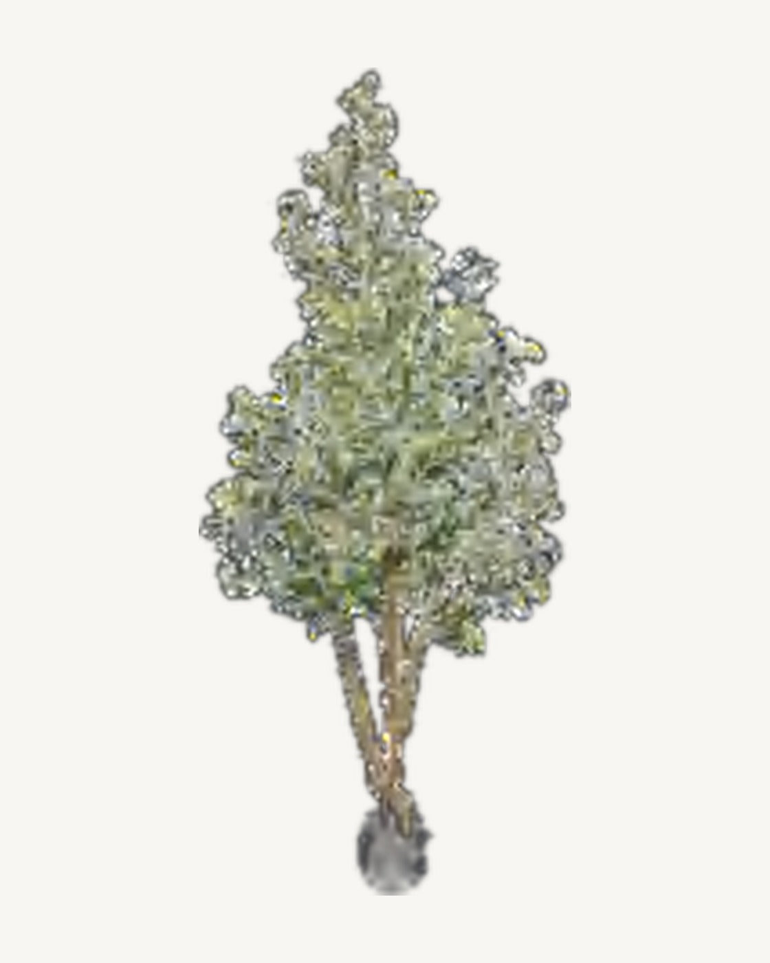 Monopoli Artificial Olive Tree, full product studio view in the included nursery pot