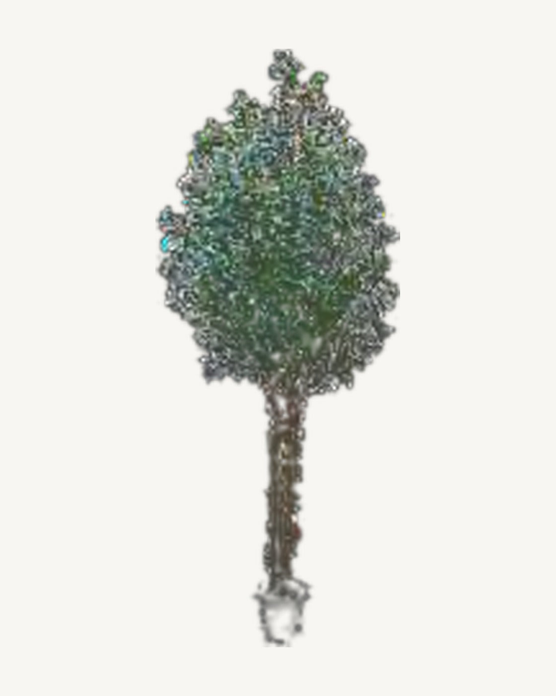 Mougins Artificial Olive Tree, full product studio view in the included nursery pot