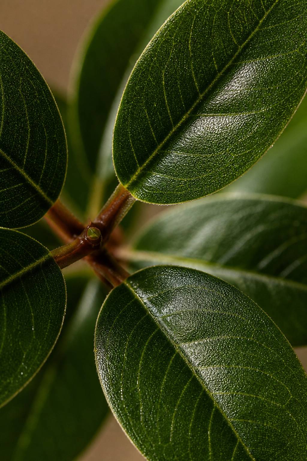 Maison Moya - Nandina Sacred Bamboo Faux Plant - closeup surface