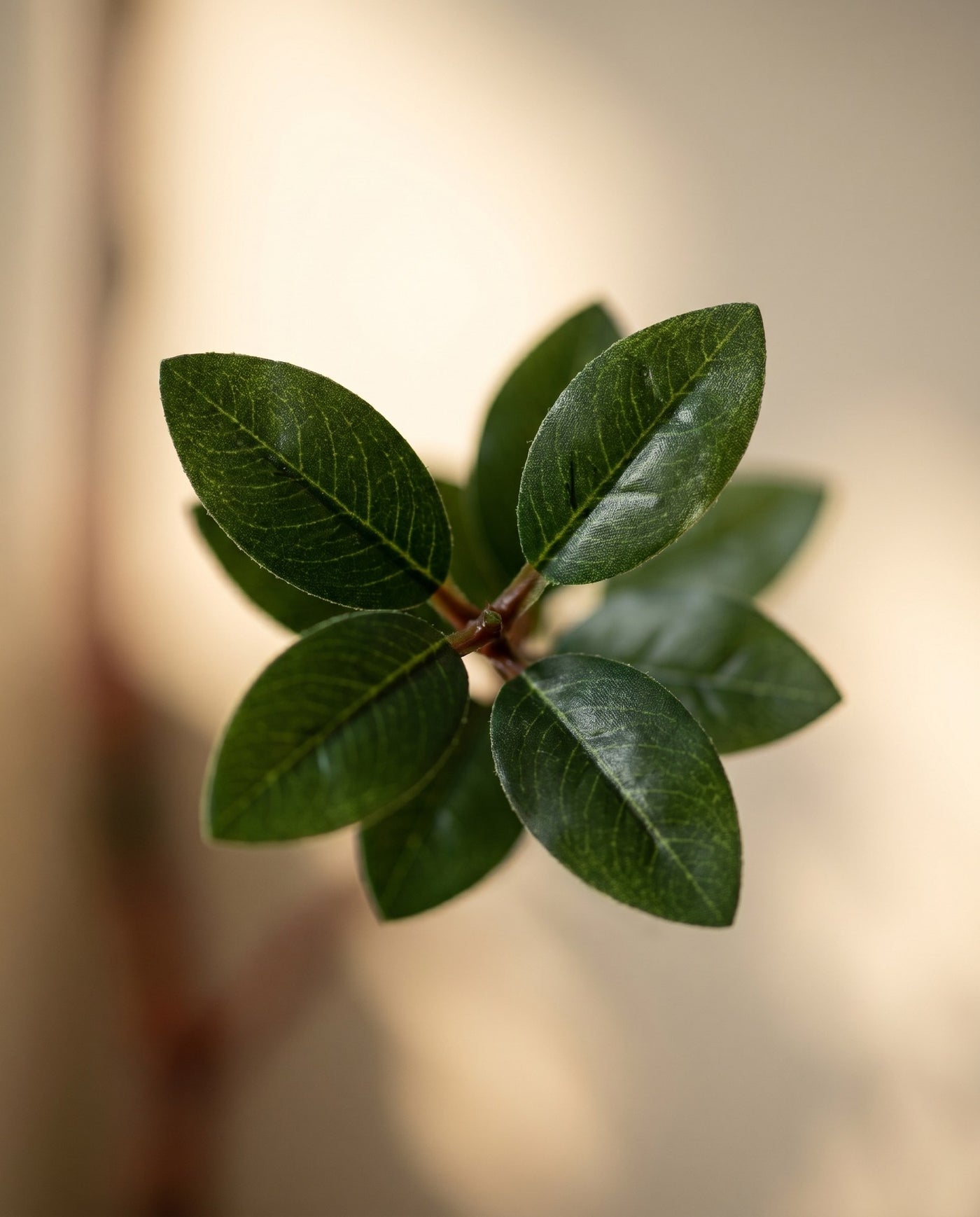 Maison Moya - Nandina Sacred Bamboo Faux Plant - 03 closeup-top