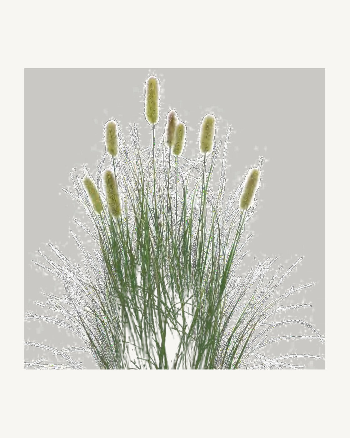 Noto Artificial Cattail Grass, full product studio view in the included nursery pot