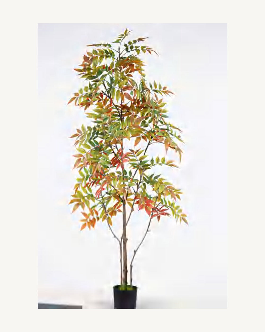 Noto Artificial Lacquer Tree, full product studio view in the included nursery pot