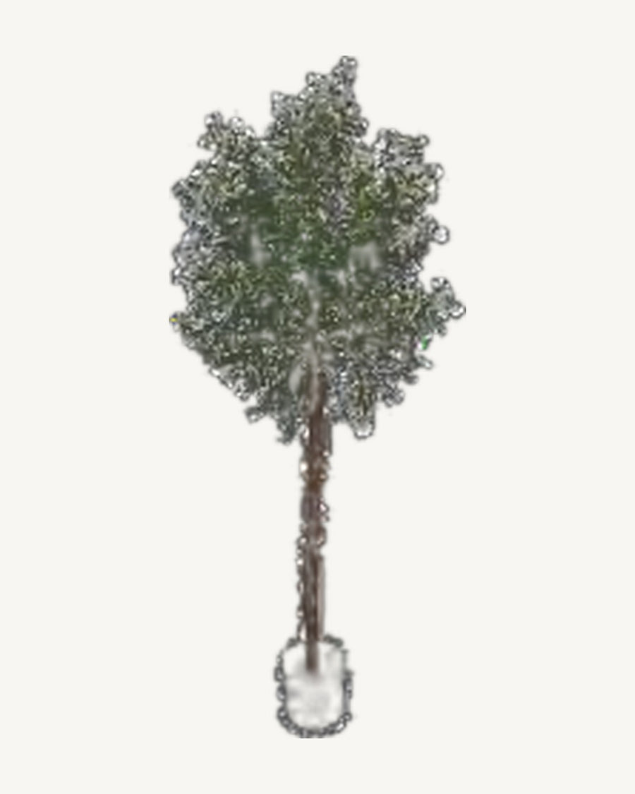 Noto Artificial Olive Tree, 63 in