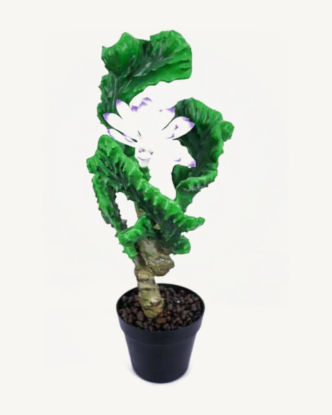 Orvieto Artificial Coral Cactus, full product studio view in the included nursery pot