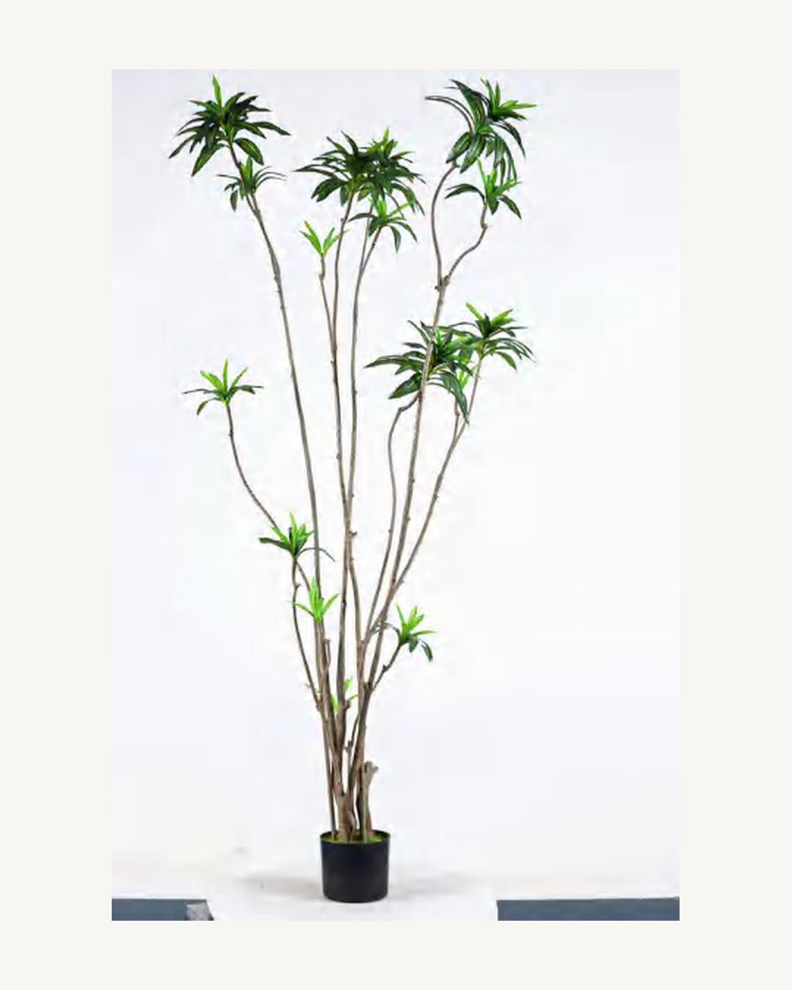 Orvieto Artificial Dracaena Tree, full product studio view in the included nursery pot