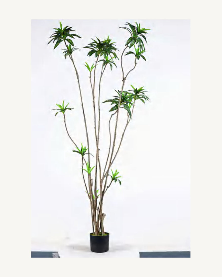 Orvieto Artificial Dracaena Tree, 70.9 in
