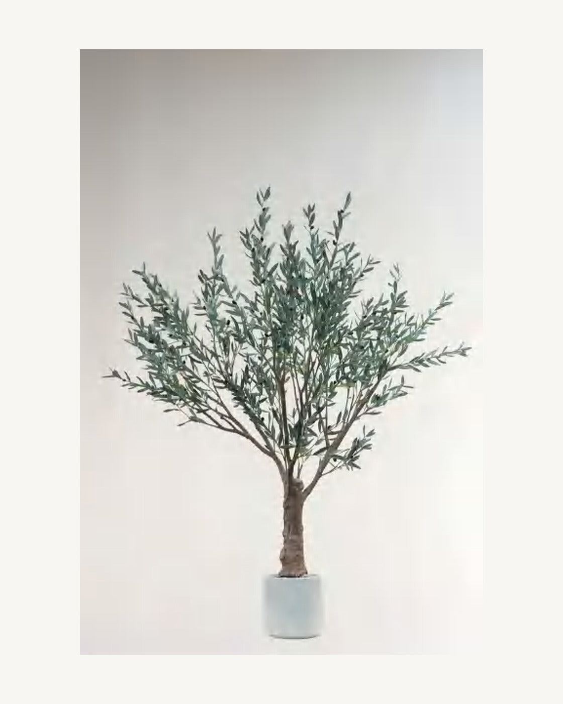 Orvieto Artificial Olive Tree, full product studio view in the included nursery pot