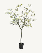 Ostuni Artificial Blossom Tree, Ivory, full product studio view in the included nursery pot