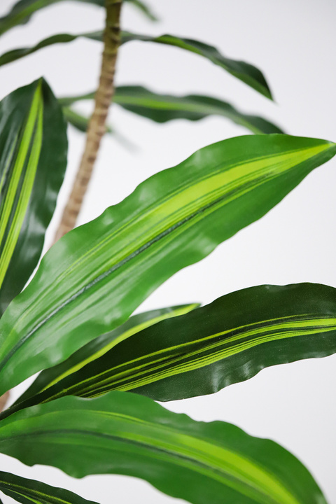 Dracaena Realistic Trunk Faux Tree