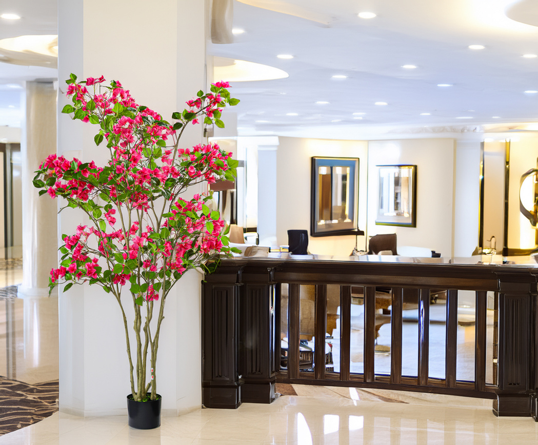 Bougainvillea Mediterranean Flowering Tree
