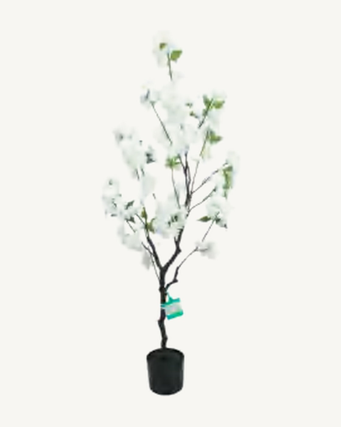 Pienza Artificial Blossom Tree, Ivory, full product studio view in the included nursery pot