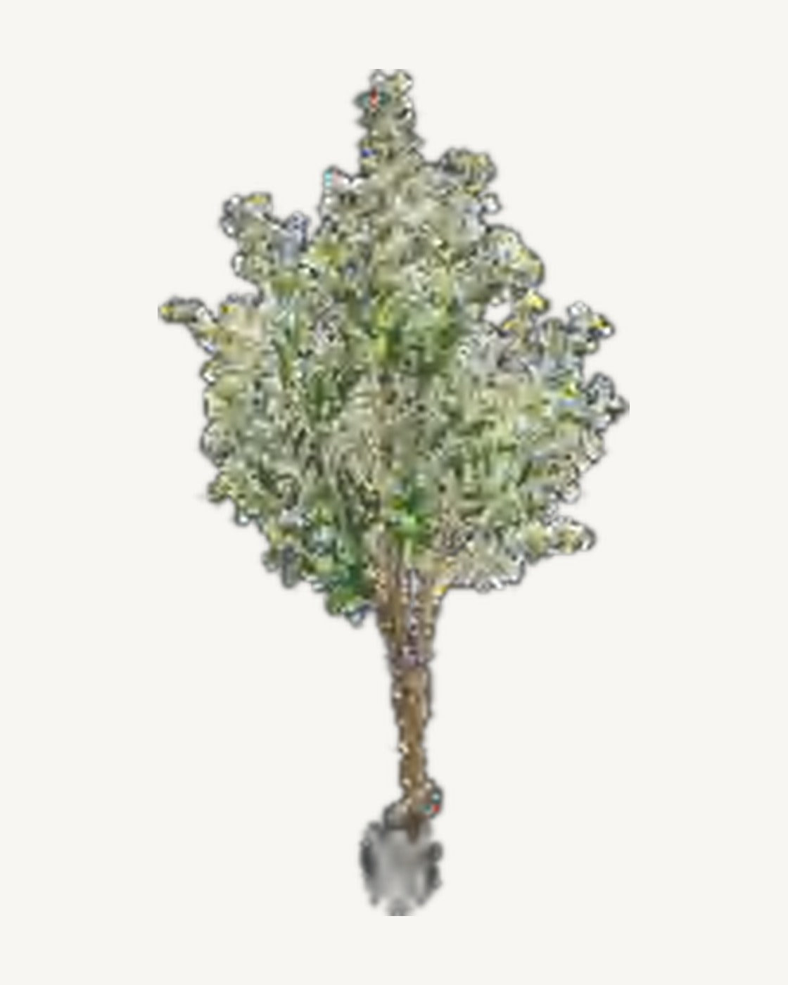 Pienza Artificial Olive Tree, full product studio view in the included nursery pot