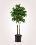 Pieris Japonica Faux Indoor Plant