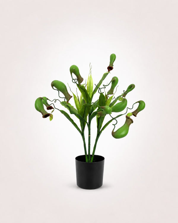 Pitcher Plant Curiosity Faux Plant