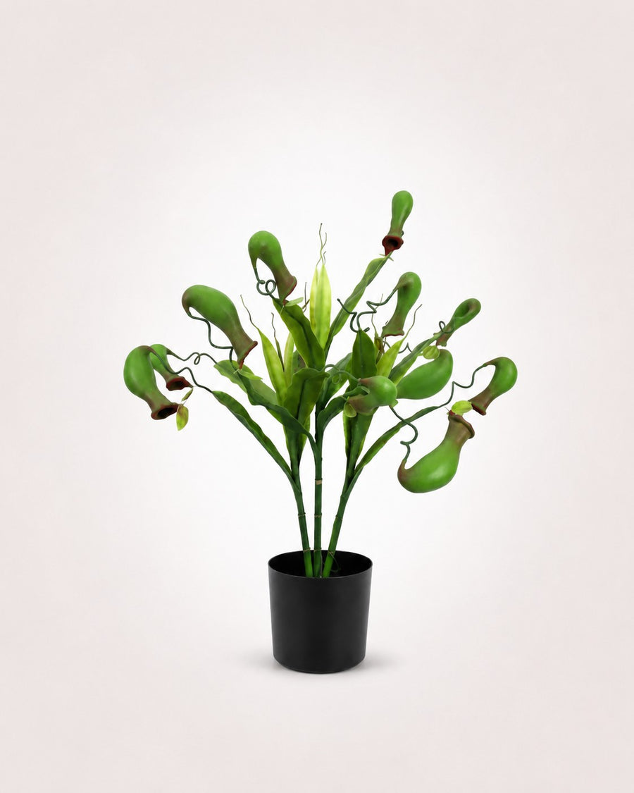 Artificial Plants
