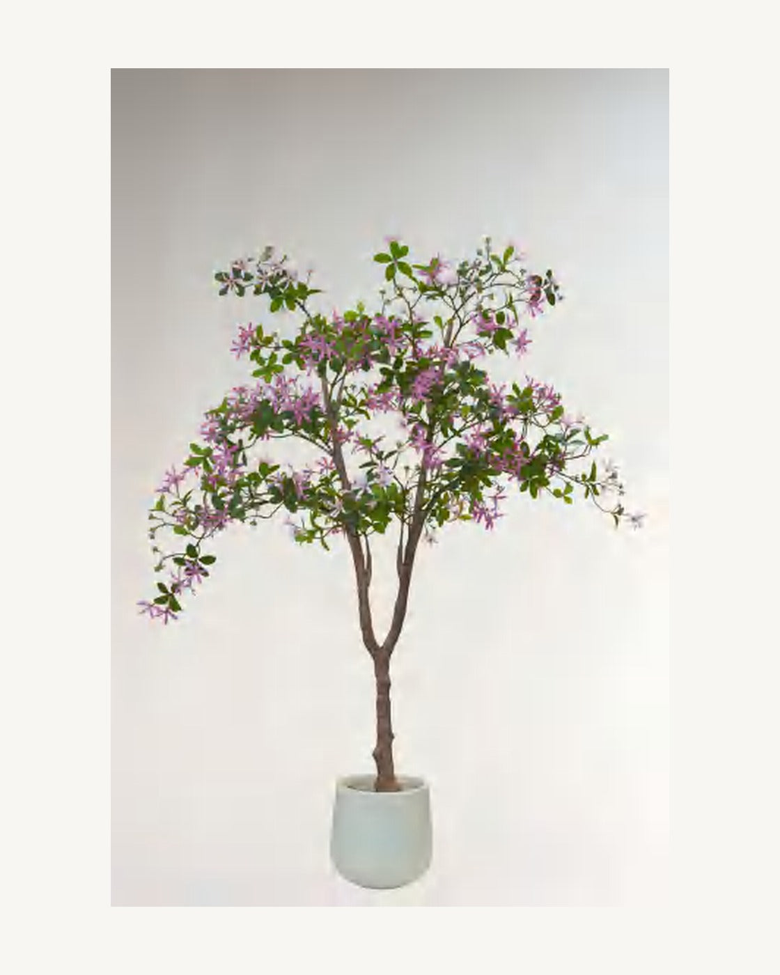 Positano Artificial Blossom Tree, full product studio view in the included nursery pot