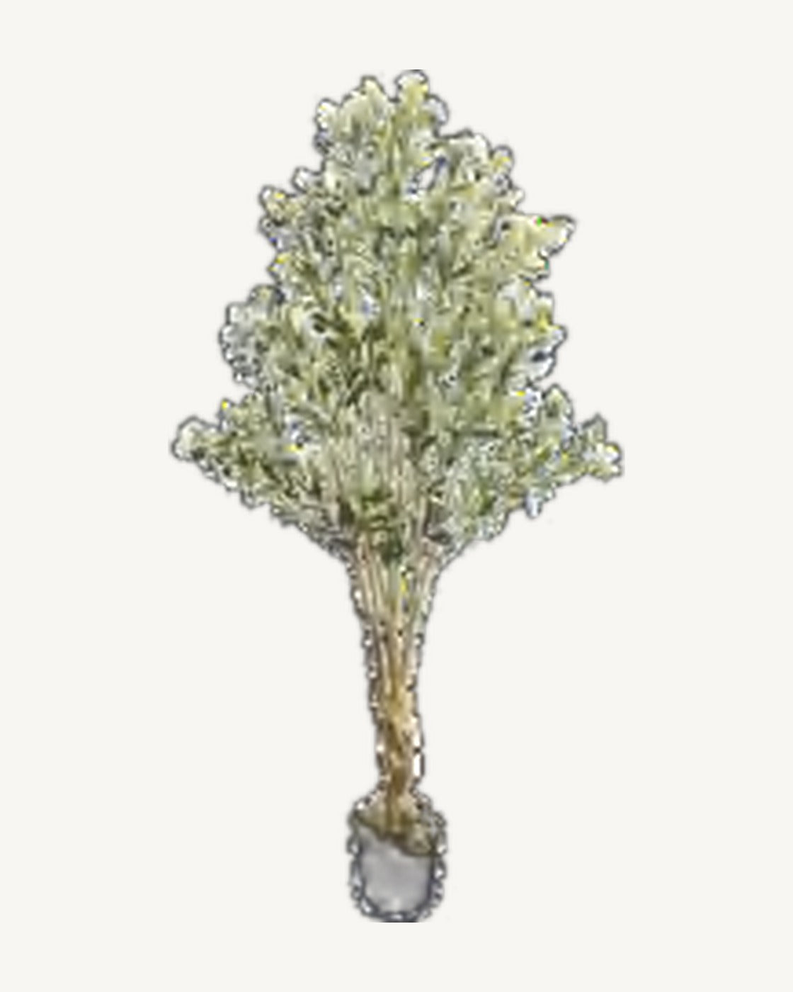 Positano Artificial Olive Tree, full product studio view in the included nursery pot