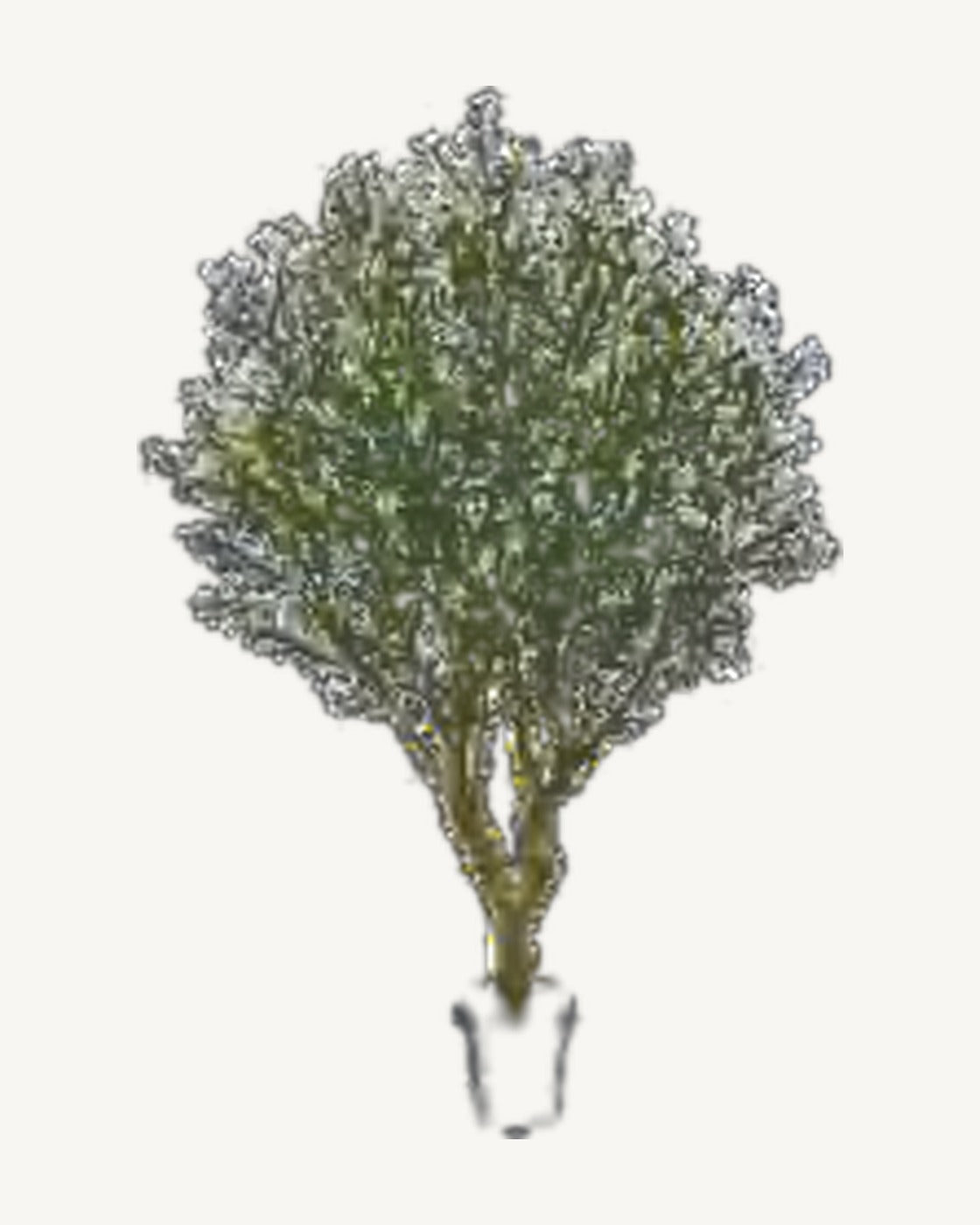 Puglia Artificial Olive Tree, full product studio view in the included nursery pot
