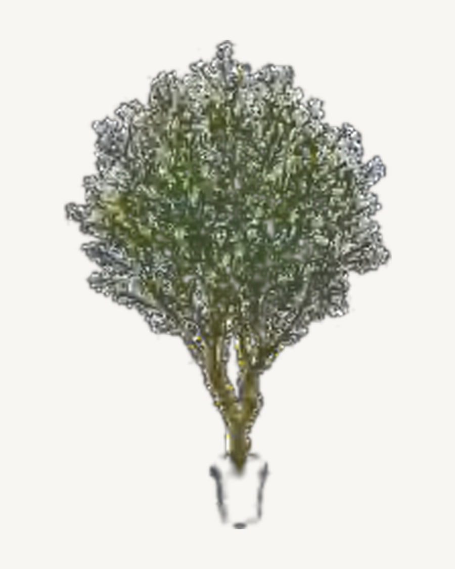 Puglia Artificial Olive Tree, 98.4 in