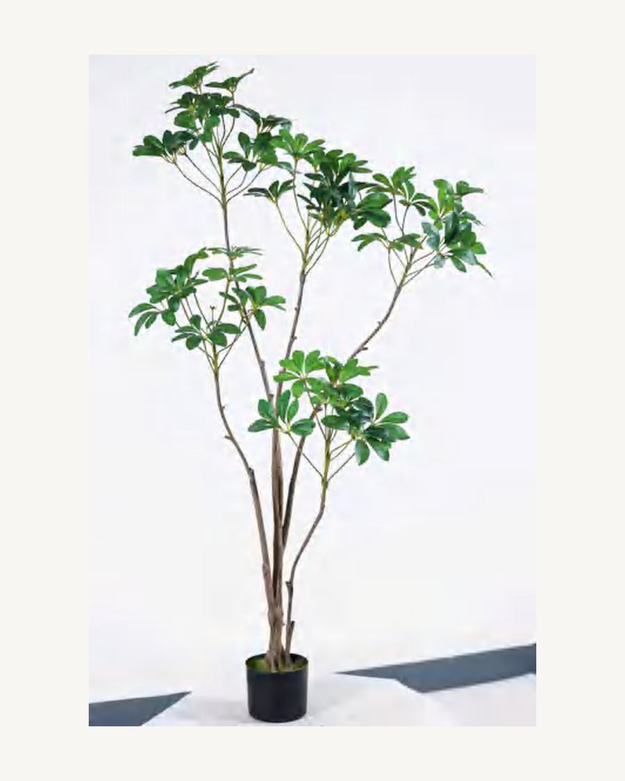 Puglia Artificial Schefflera Tree, 59.1 in