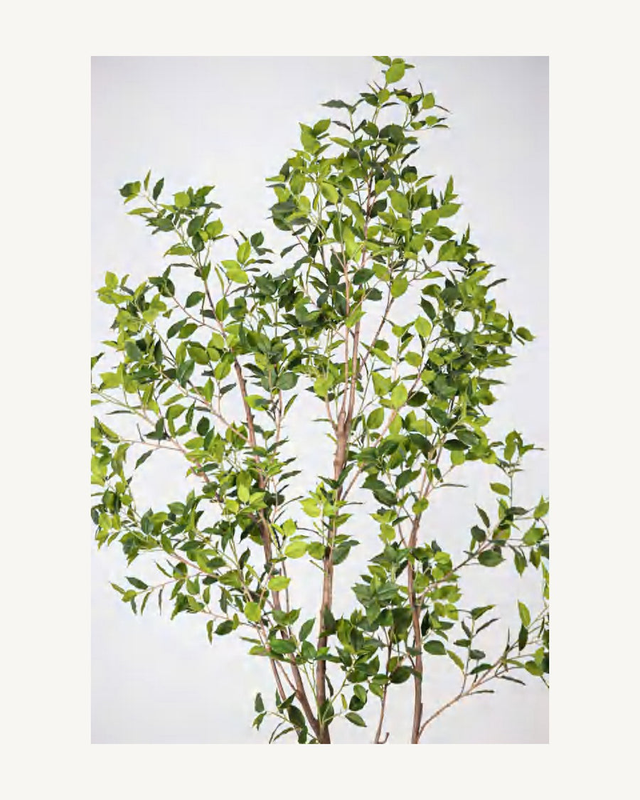 Ravello Artificial Ficus Tree, 82.6 in