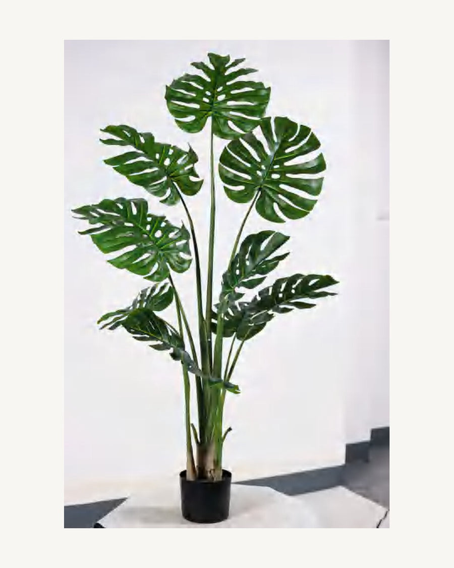 Ravello Artificial Monstera Plant, 62.9 in