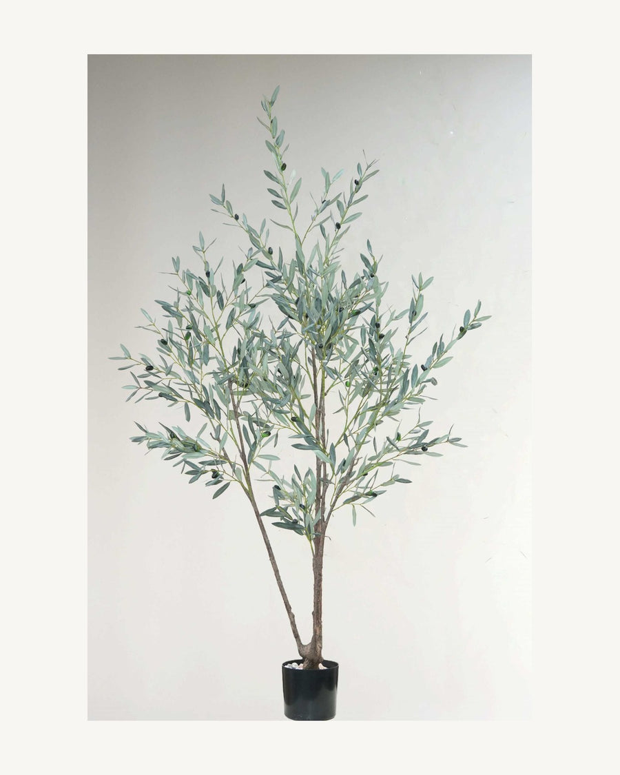 Ravello Artificial Olive Tree, 72.8 in