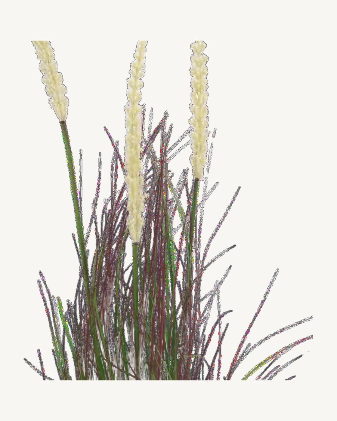 Ravello Artificial Onion Grass, full product studio view in the included nursery pot