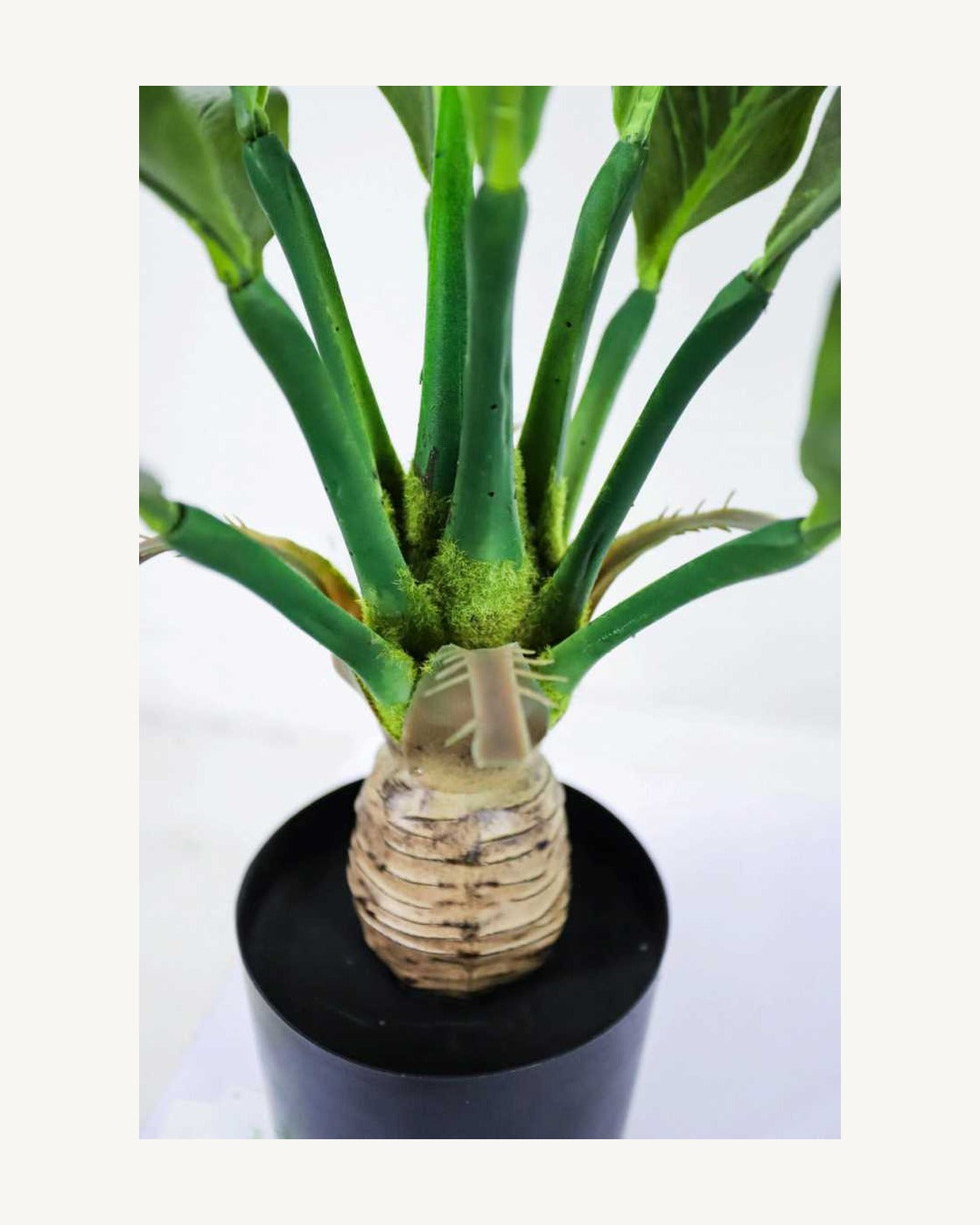 Ravello Artificial Tropical Plant, full product studio view in the included nursery pot
