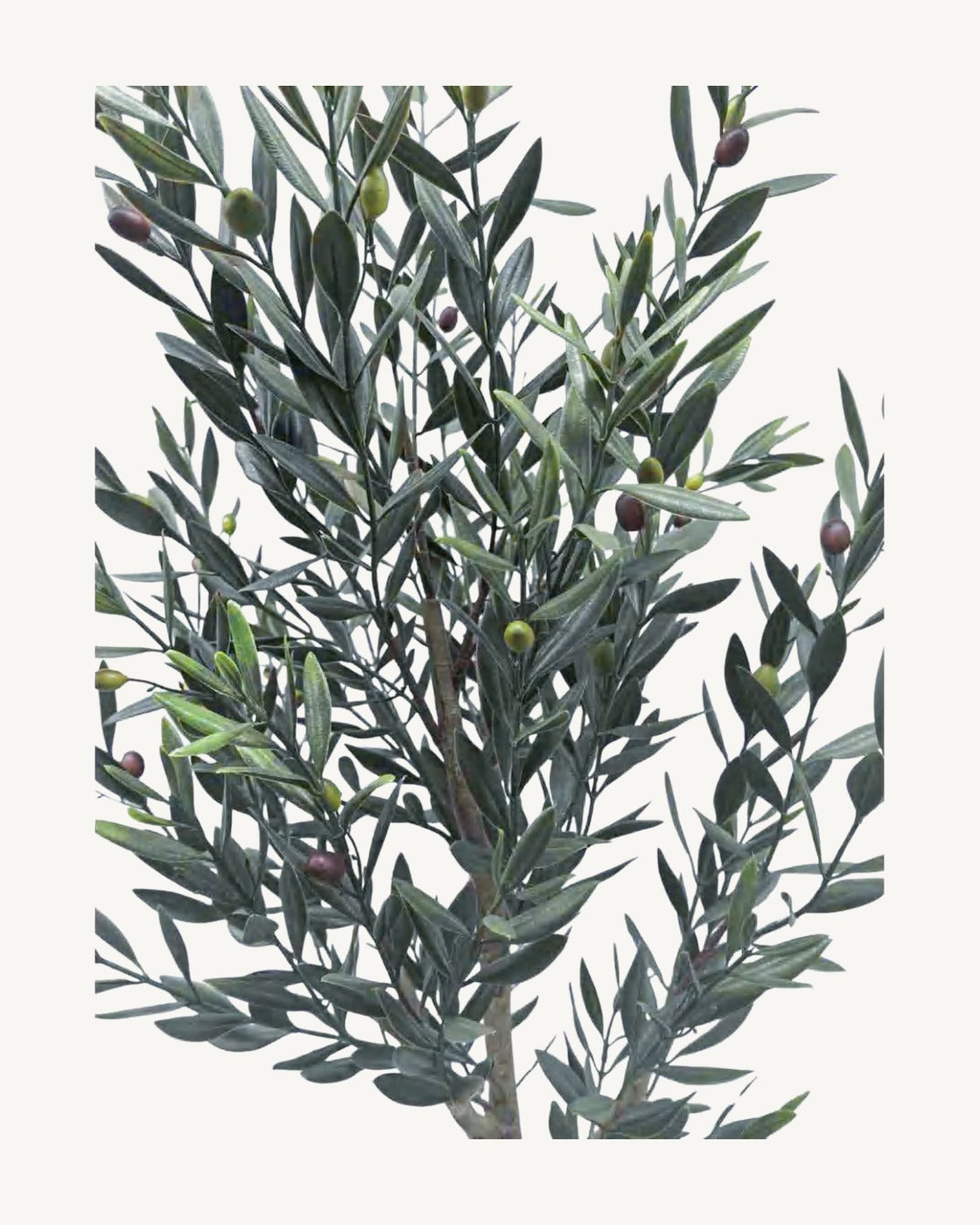 Ronda Artificial Olive Tree, Style A, full product studio view in the included nursery pot