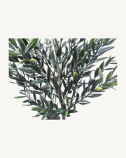 Ronda Artificial Olive Tree, Style B, full product studio view in the included nursery pot