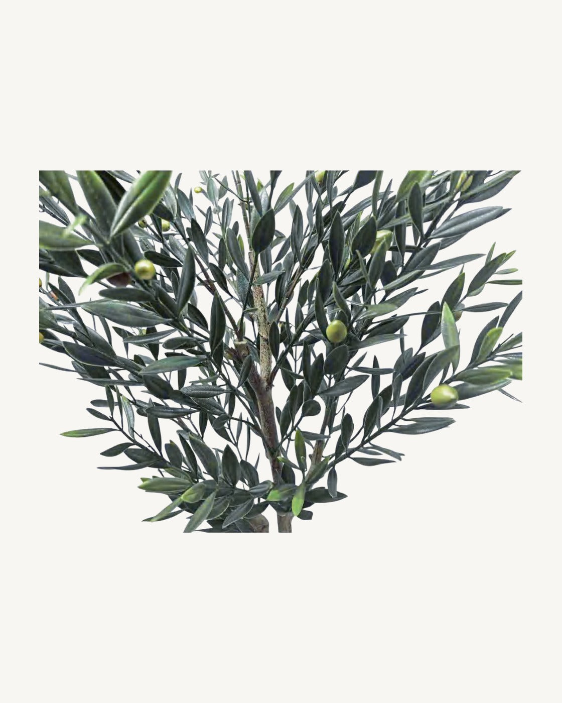 Ronda Artificial Olive Tree, Style B, full product studio view in the included nursery pot