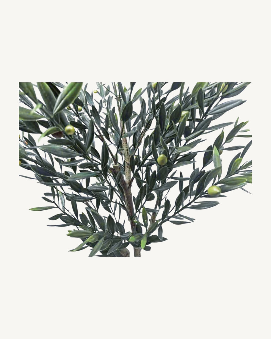 Ronda Artificial Olive Tree