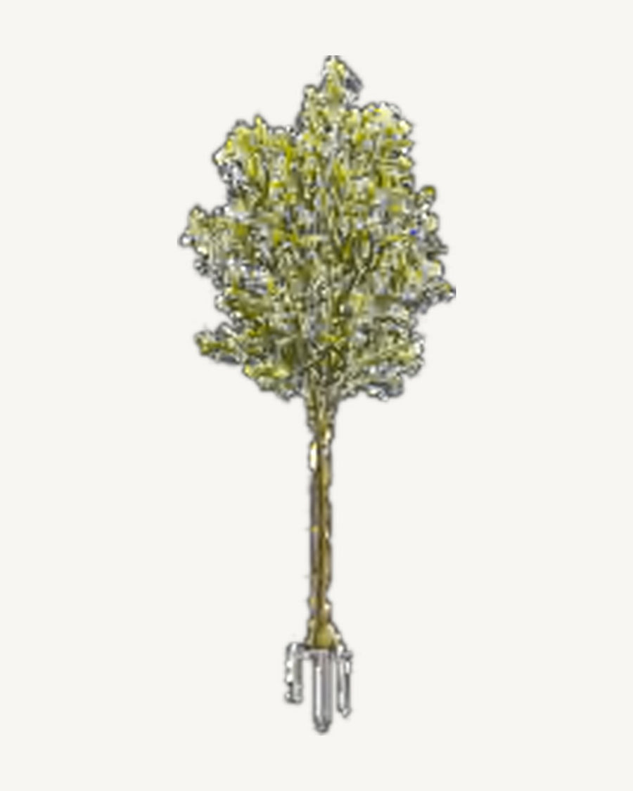 Roussillon Artificial Olive Tree, 78.7 in